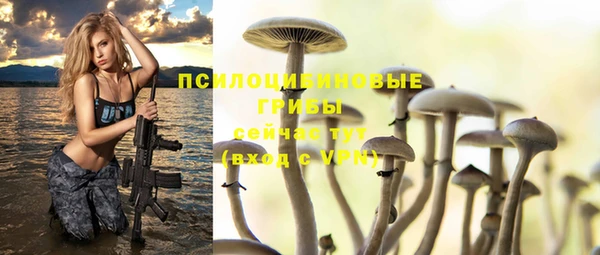 Альфа ПВП Верхнеуральск