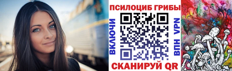 Купить где  Борисоглебск  Галлюциногенные грибы прущие грибы 